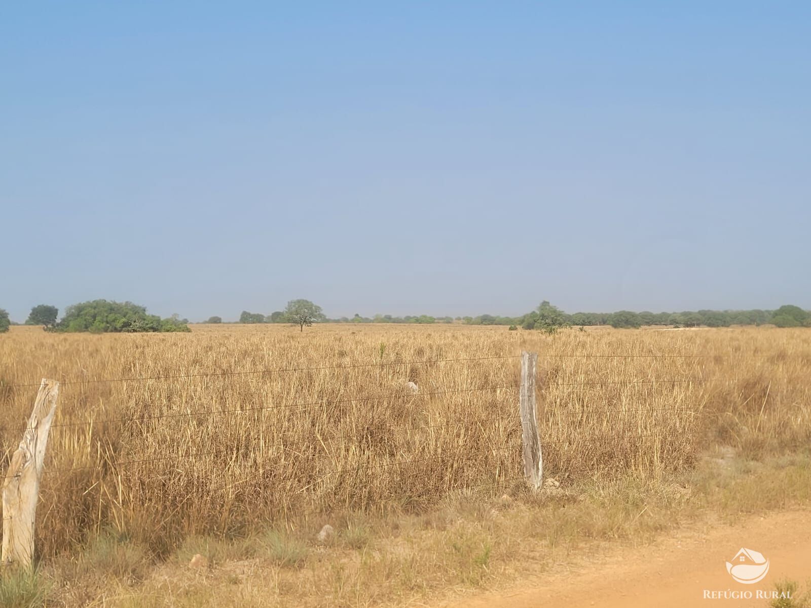 Fazenda à venda com 4 quartos, 16601199m² - Foto 5