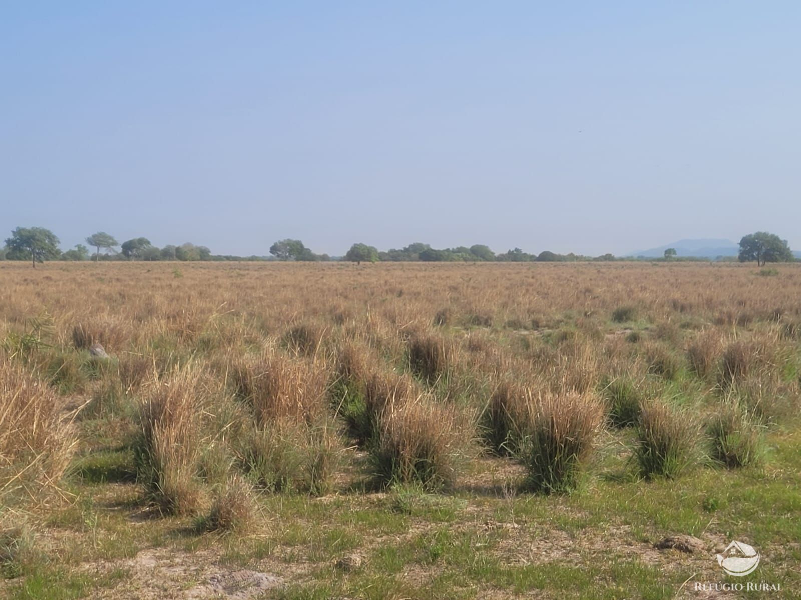 Fazenda à venda com 4 quartos, 16601199m² - Foto 2