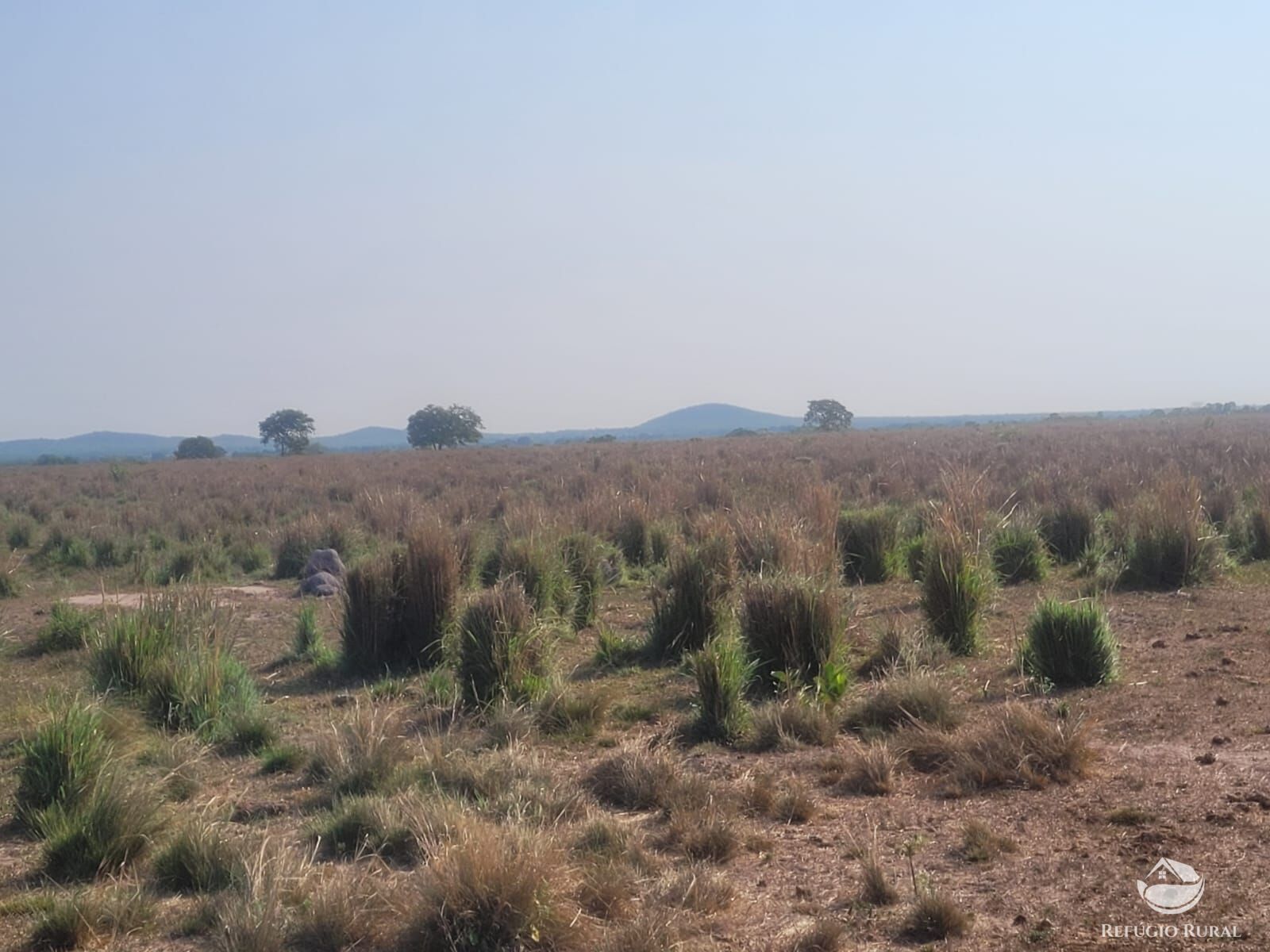 Fazenda à venda com 4 quartos, 16601199m² - Foto 6