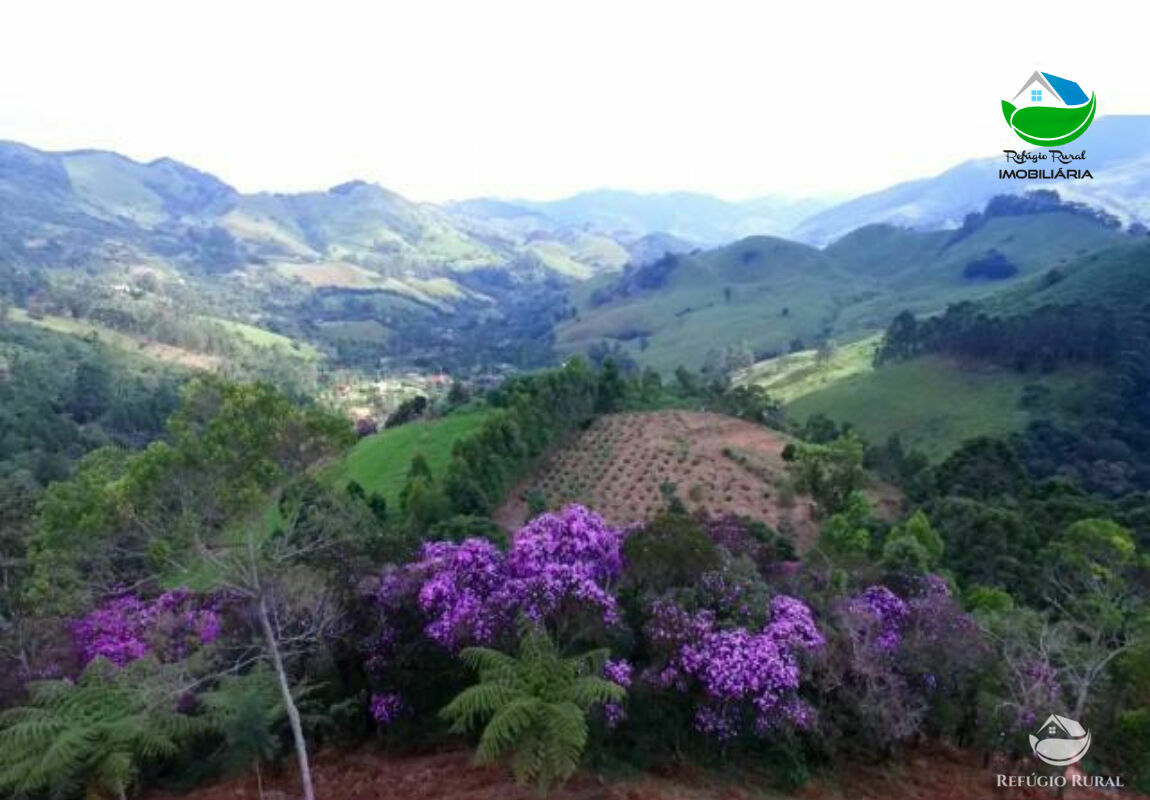 Fazenda à venda com 1 quarto, 40000m² - Foto 12