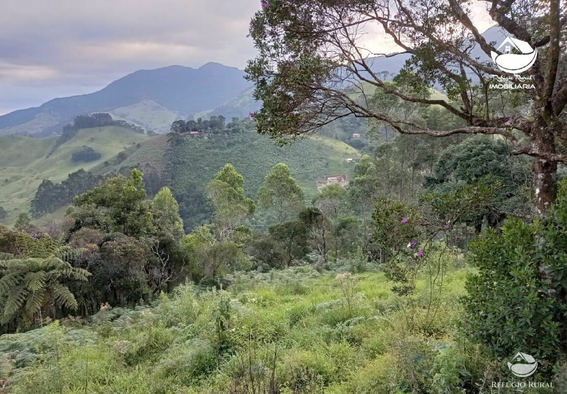 Fazenda à venda com 1 quarto, 40000m² - Foto 21