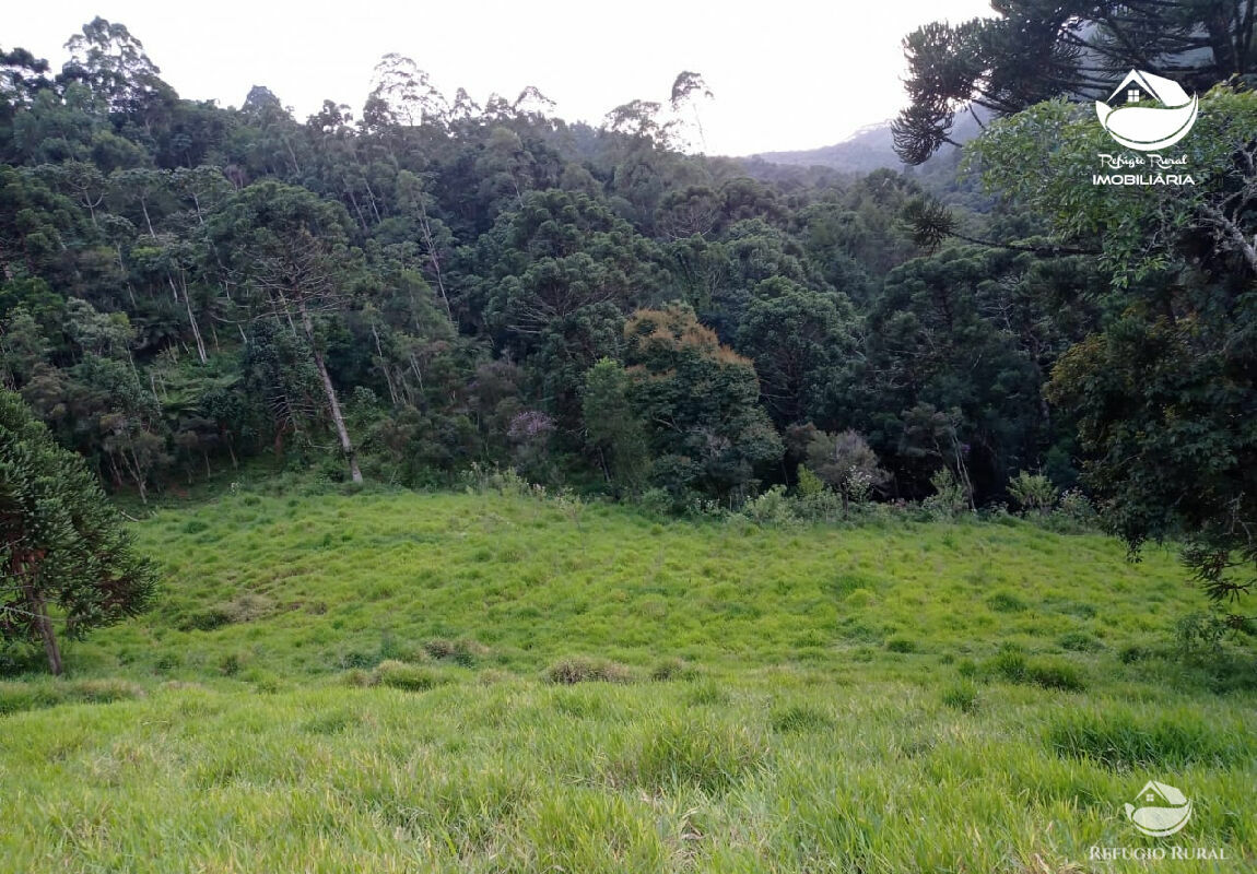 Fazenda à venda com 1 quarto, 40000m² - Foto 25