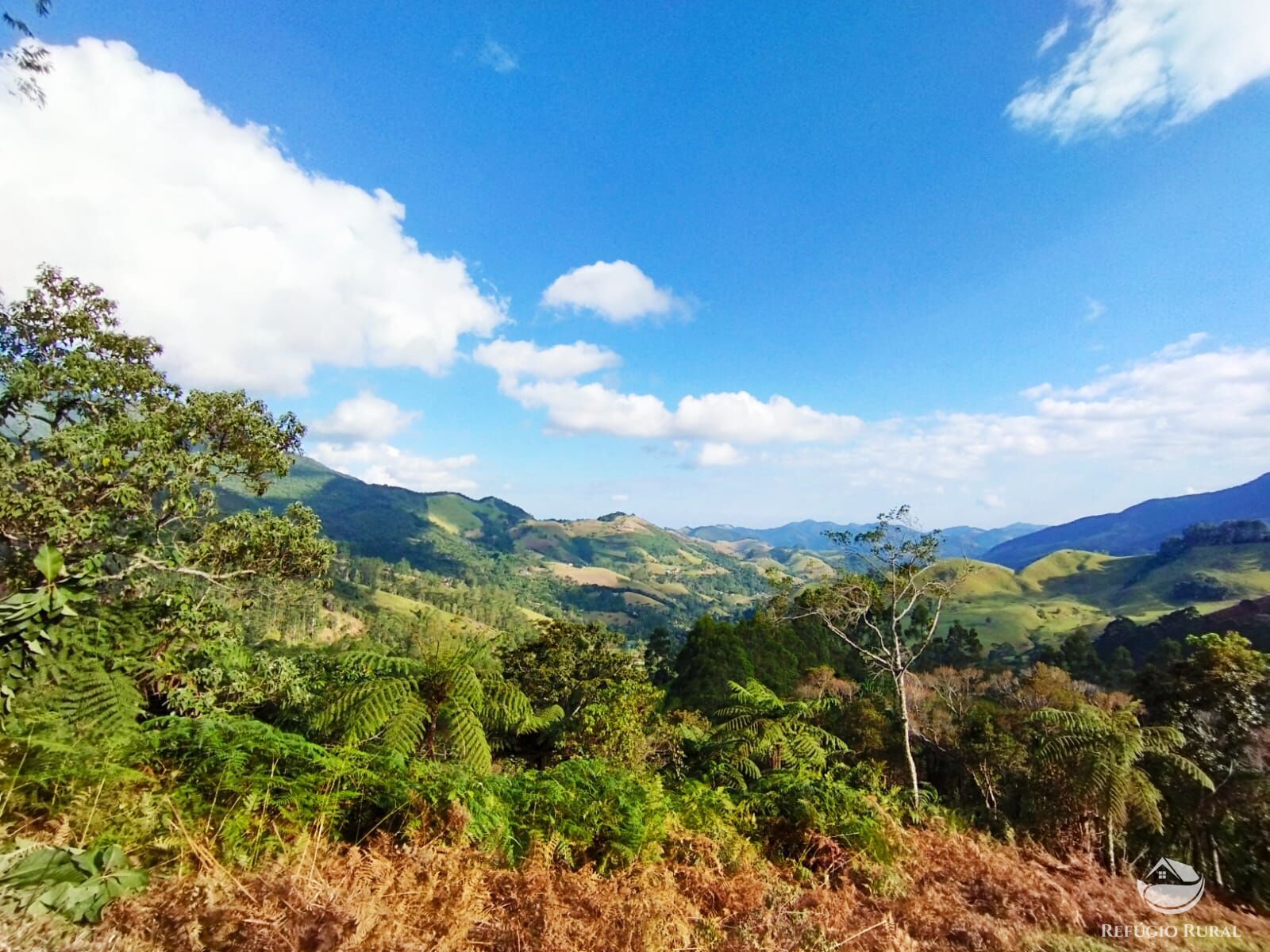 Fazenda à venda com 1 quarto, 40000m² - Foto 31