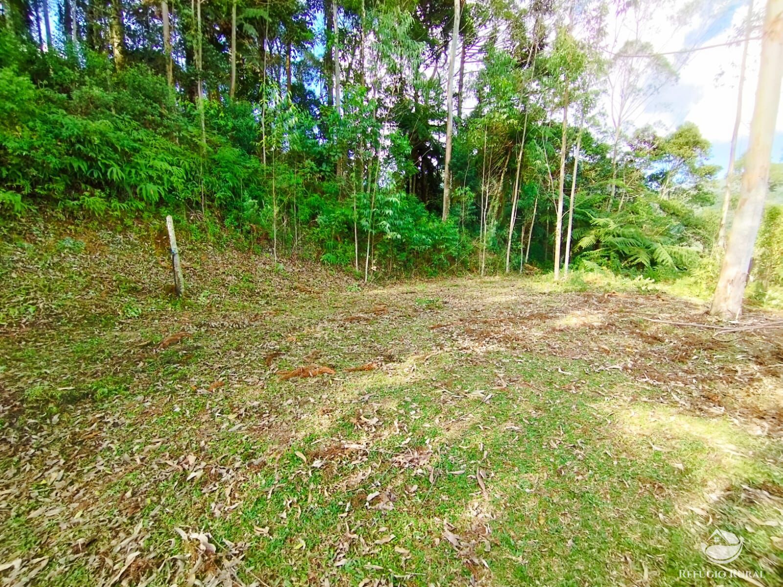 Fazenda à venda com 1 quarto, 40000m² - Foto 42