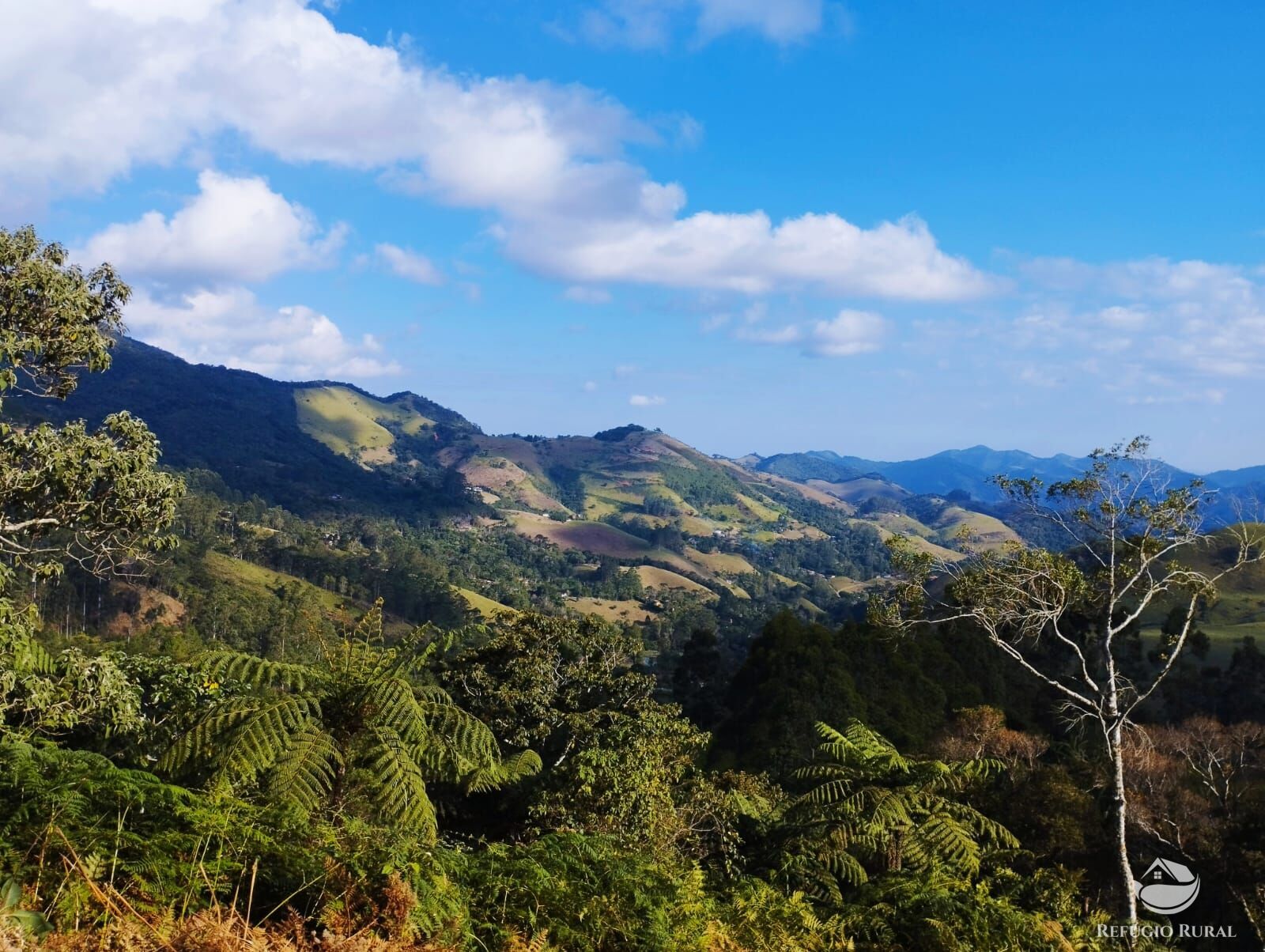 Fazenda à venda com 1 quarto, 40000m² - Foto 40