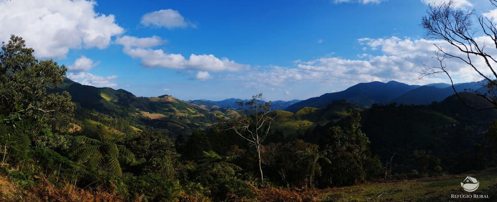 Fazenda à venda com 1 quarto, 40000m² - Foto 44