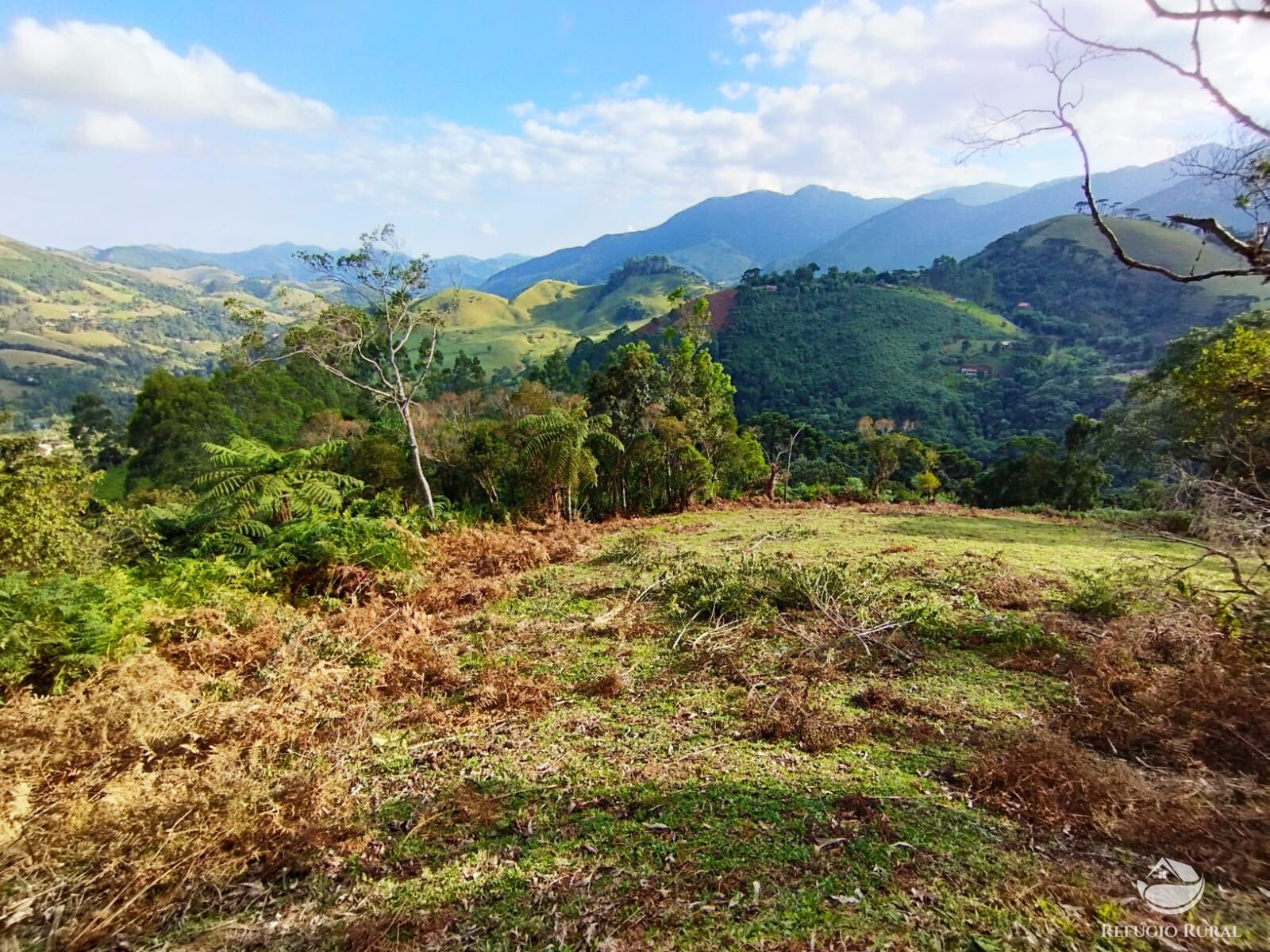 Fazenda à venda com 1 quarto, 40000m² - Foto 11