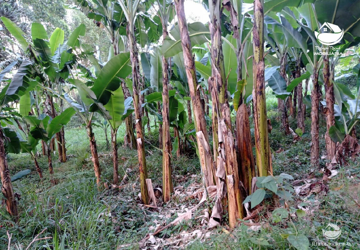 Fazenda à venda com 1 quarto, 40000m² - Foto 29