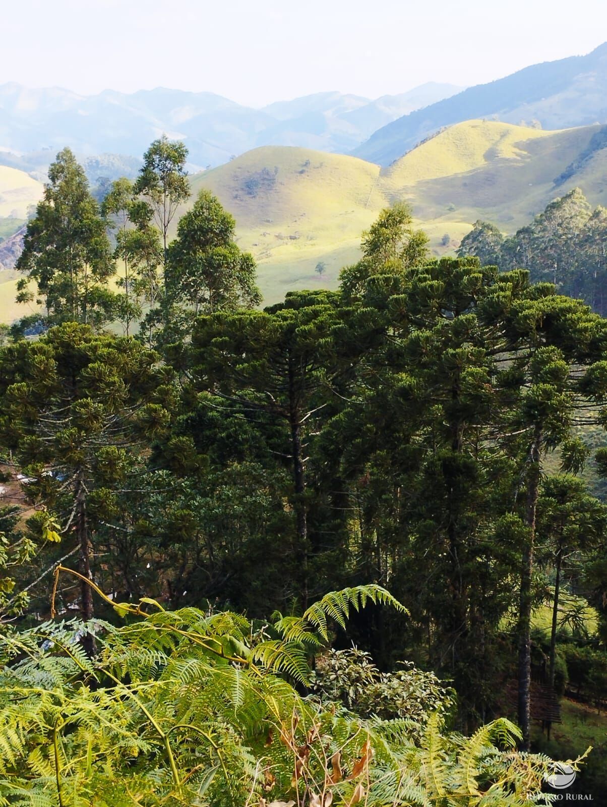 Fazenda à venda com 1 quarto, 40000m² - Foto 2