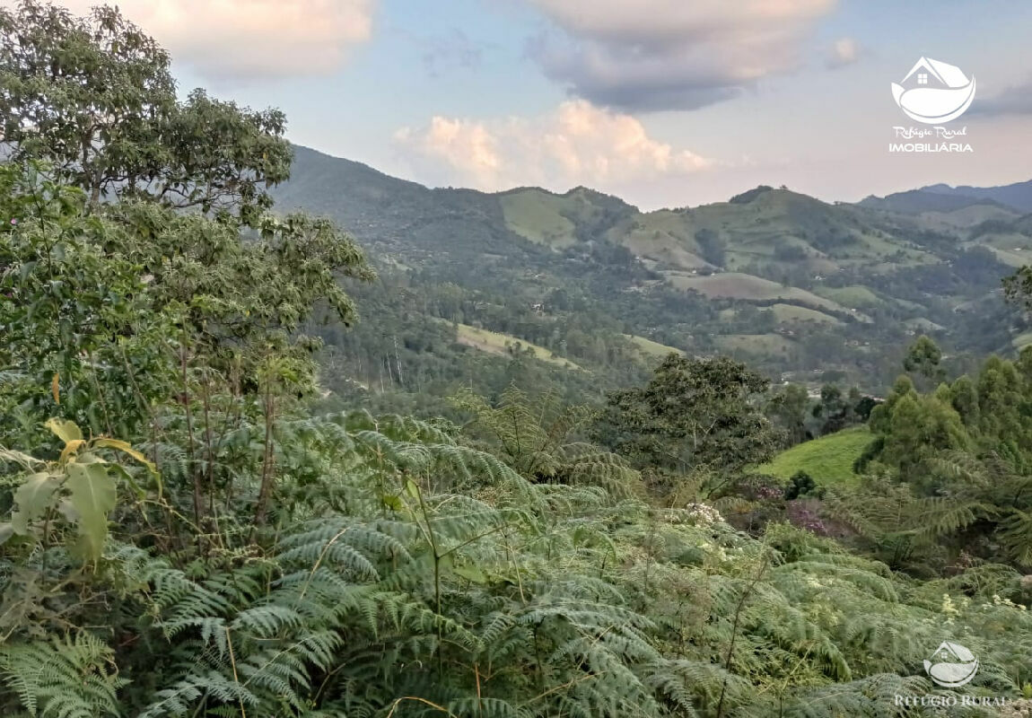 Fazenda à venda com 1 quarto, 40000m² - Foto 20