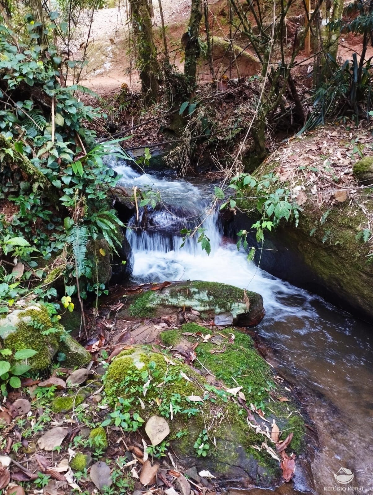 Fazenda à venda com 1 quarto, 40000m² - Foto 33