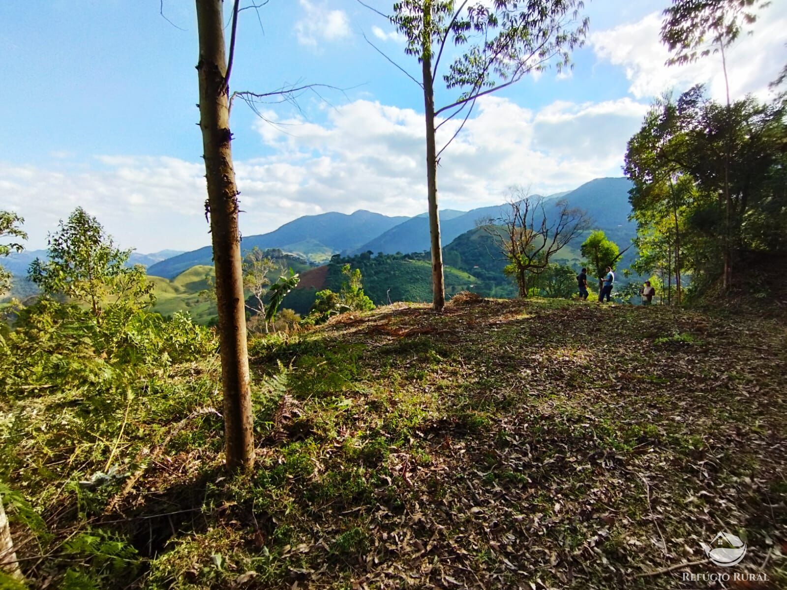 Fazenda à venda com 1 quarto, 40000m² - Foto 46