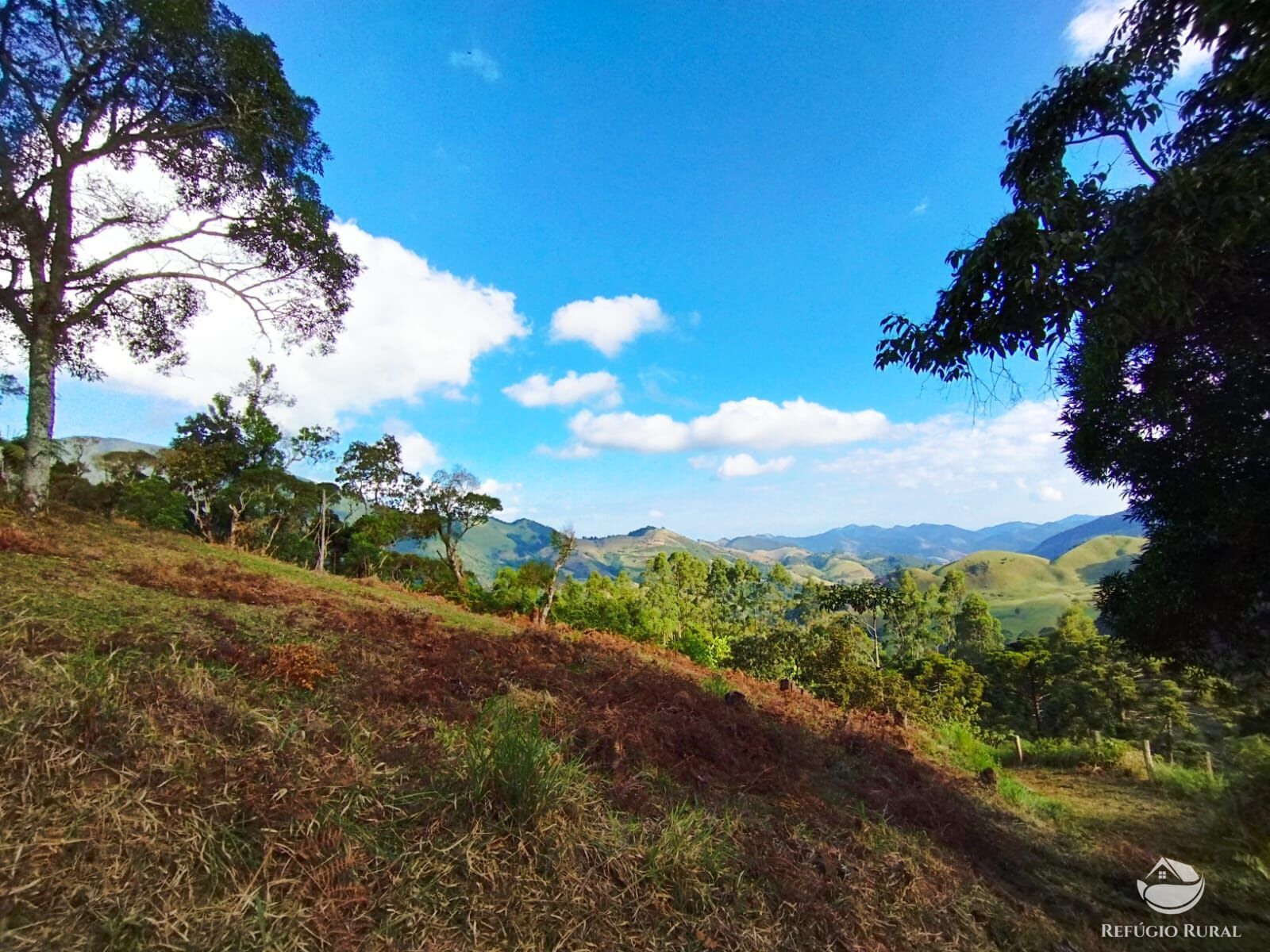 Fazenda à venda com 1 quarto, 40000m² - Foto 7