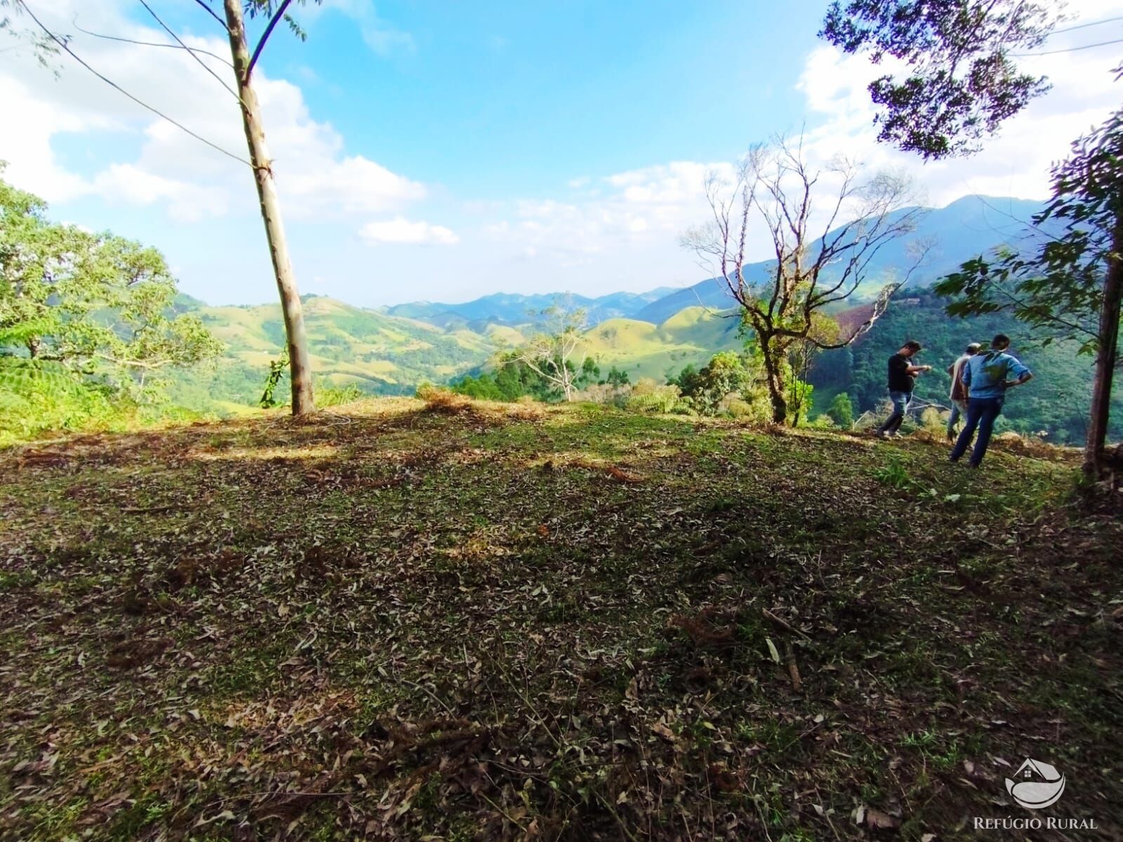 Fazenda à venda com 1 quarto, 40000m² - Foto 8