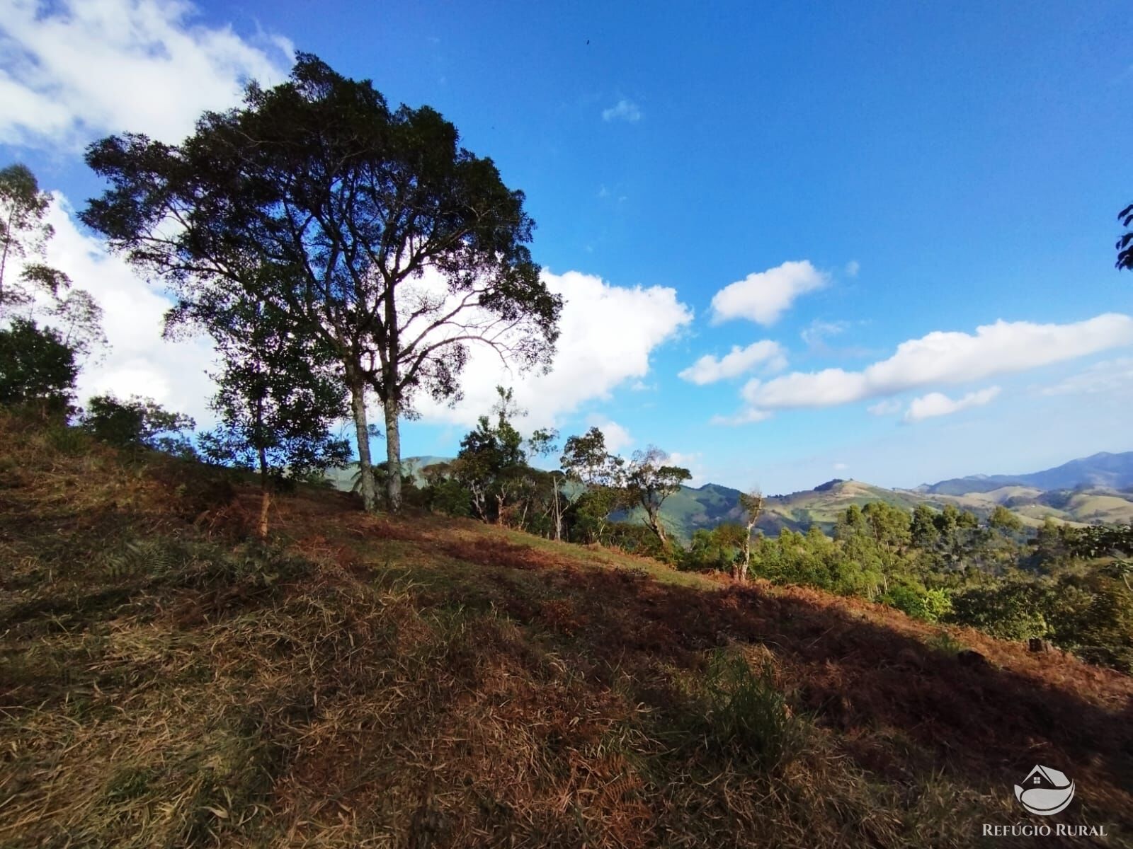 Fazenda à venda com 1 quarto, 40000m² - Foto 45