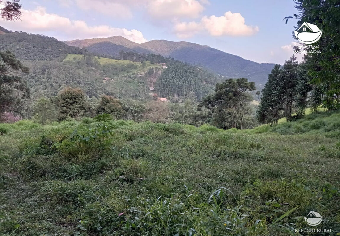 Fazenda à venda com 1 quarto, 40000m² - Foto 23