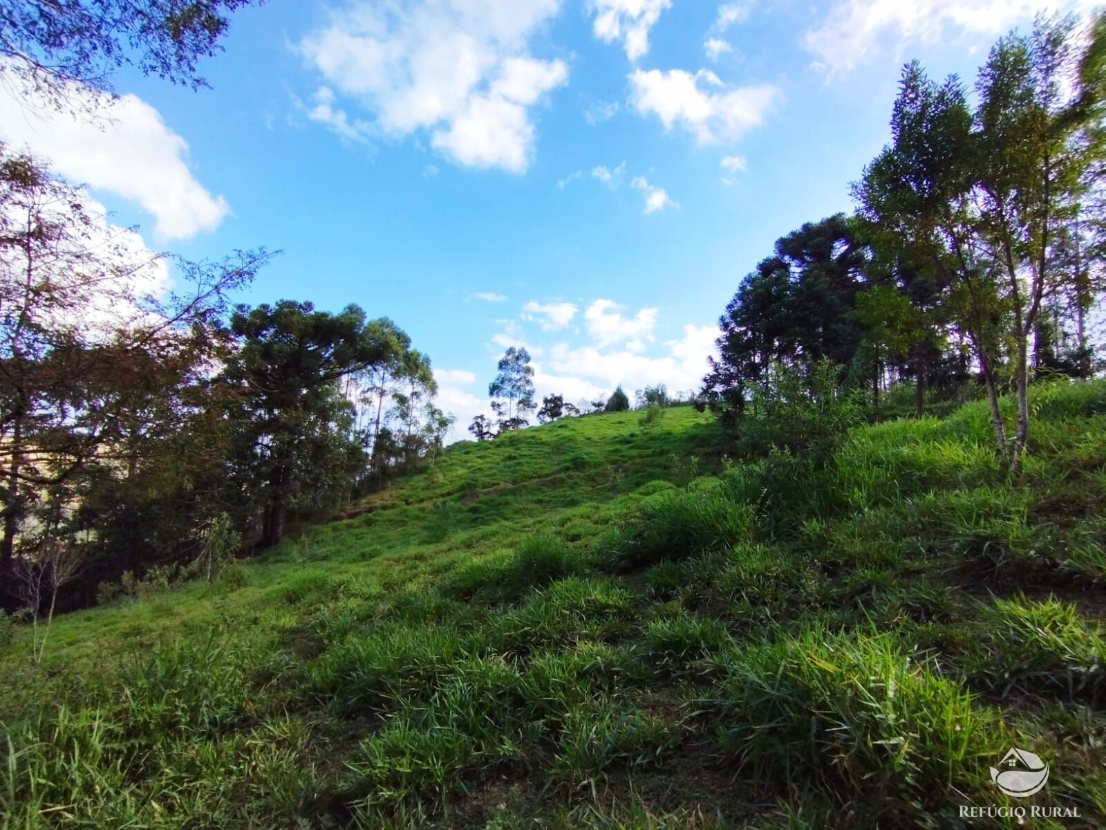 Fazenda à venda com 1 quarto, 40000m² - Foto 13