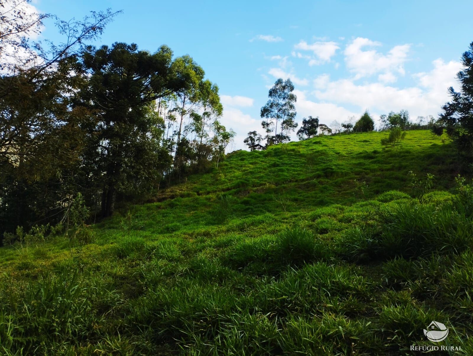 Fazenda à venda com 1 quarto, 40000m² - Foto 15