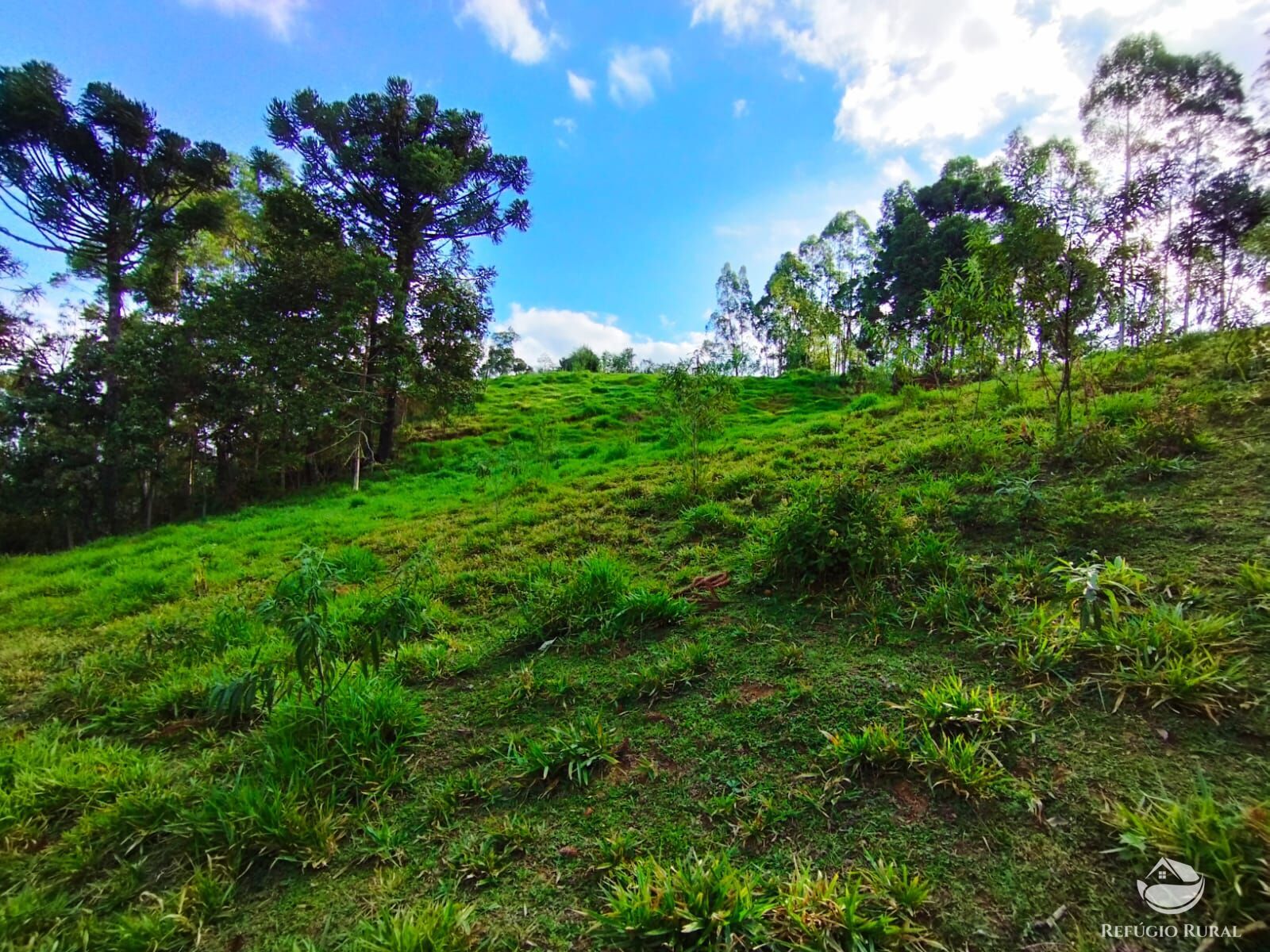 Fazenda à venda com 1 quarto, 40000m² - Foto 36