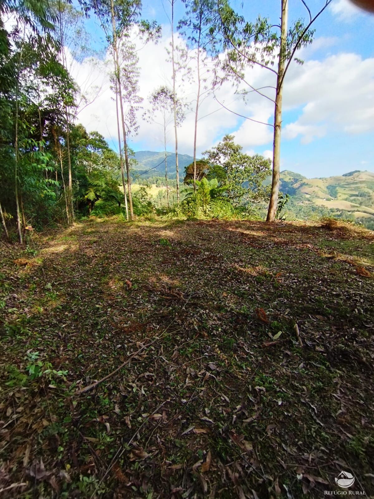 Fazenda à venda com 1 quarto, 40000m² - Foto 14