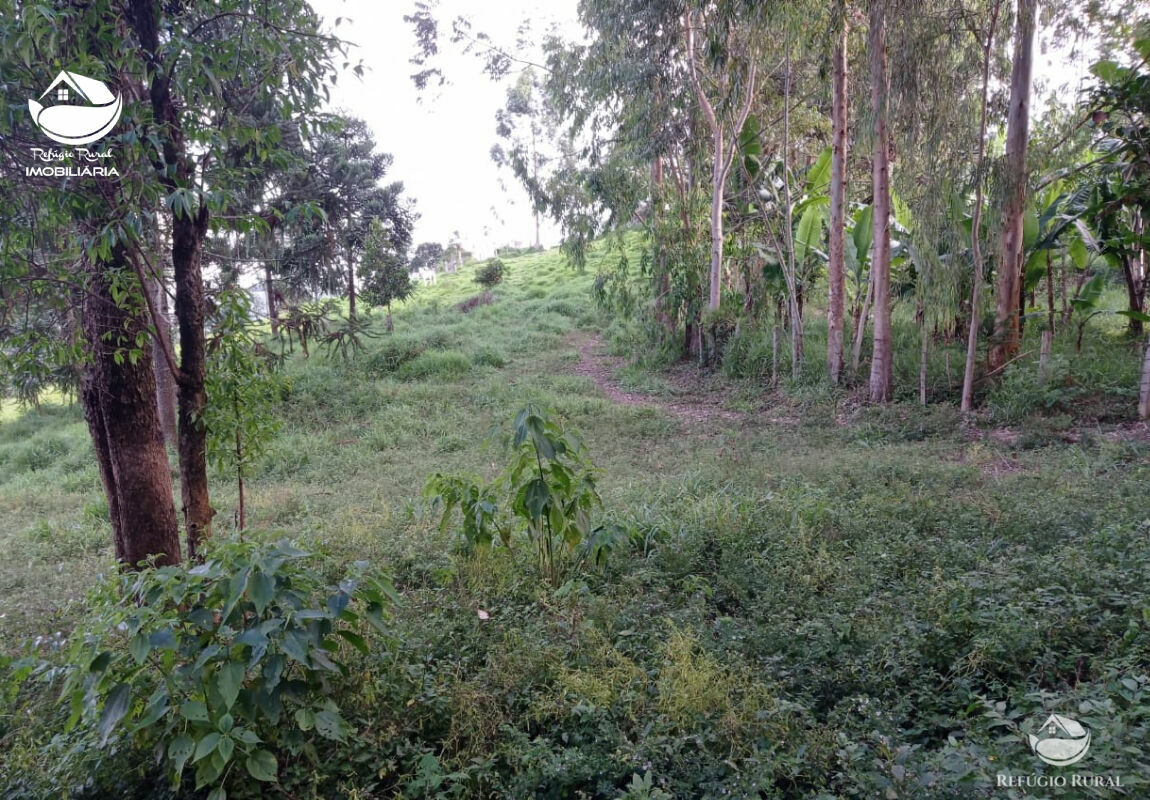 Fazenda à venda com 1 quarto, 40000m² - Foto 27