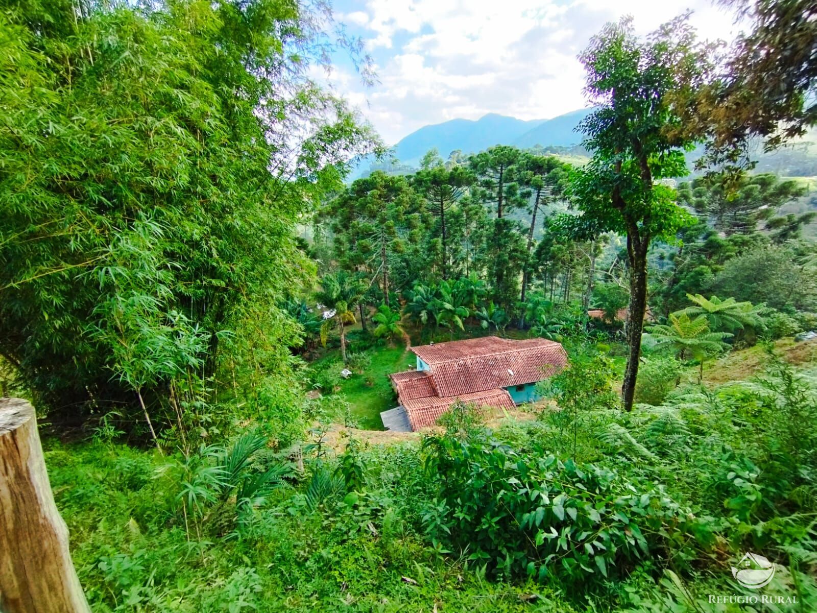 Fazenda à venda com 1 quarto, 40000m² - Foto 1