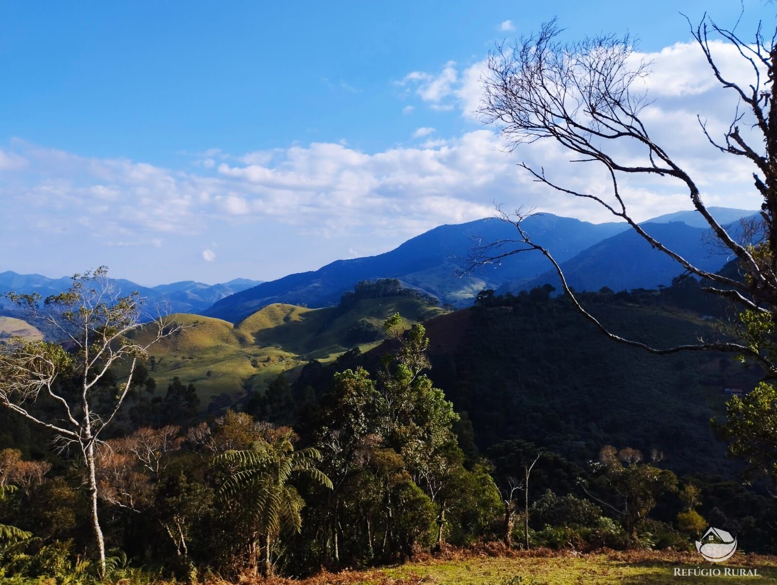 Fazenda à venda com 1 quarto, 40000m² - Foto 37