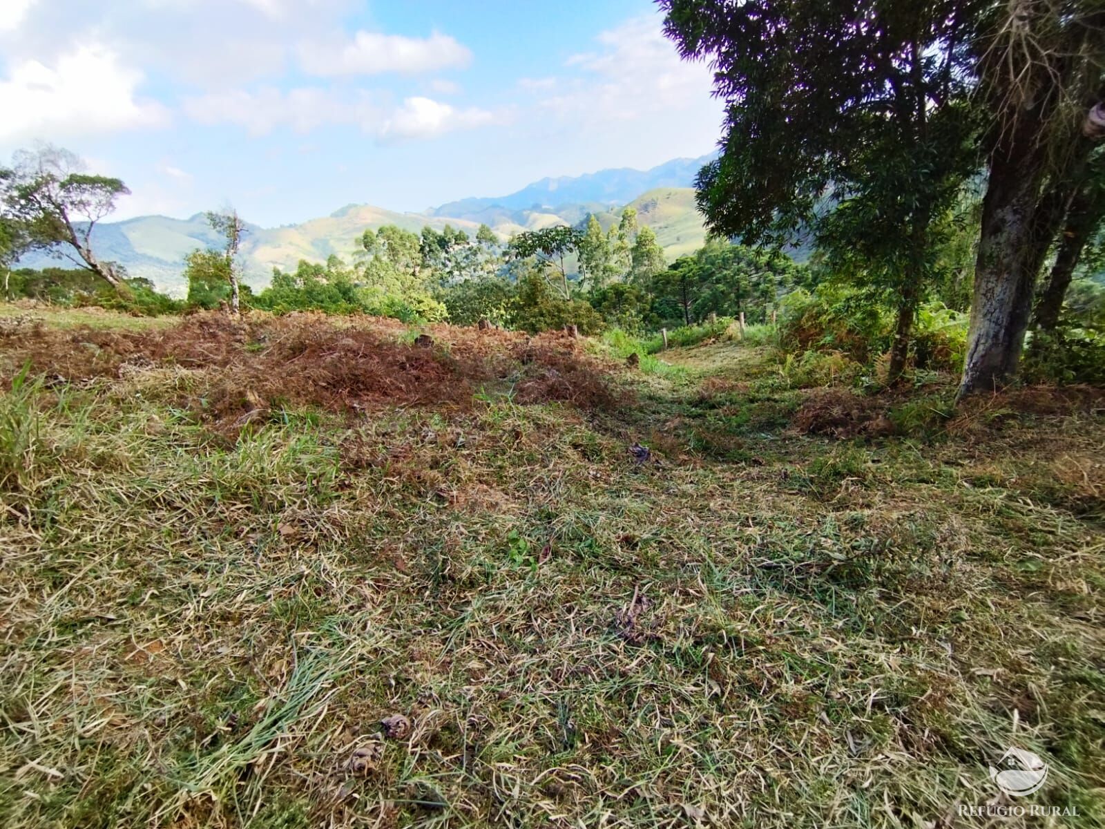 Fazenda à venda com 1 quarto, 40000m² - Foto 41