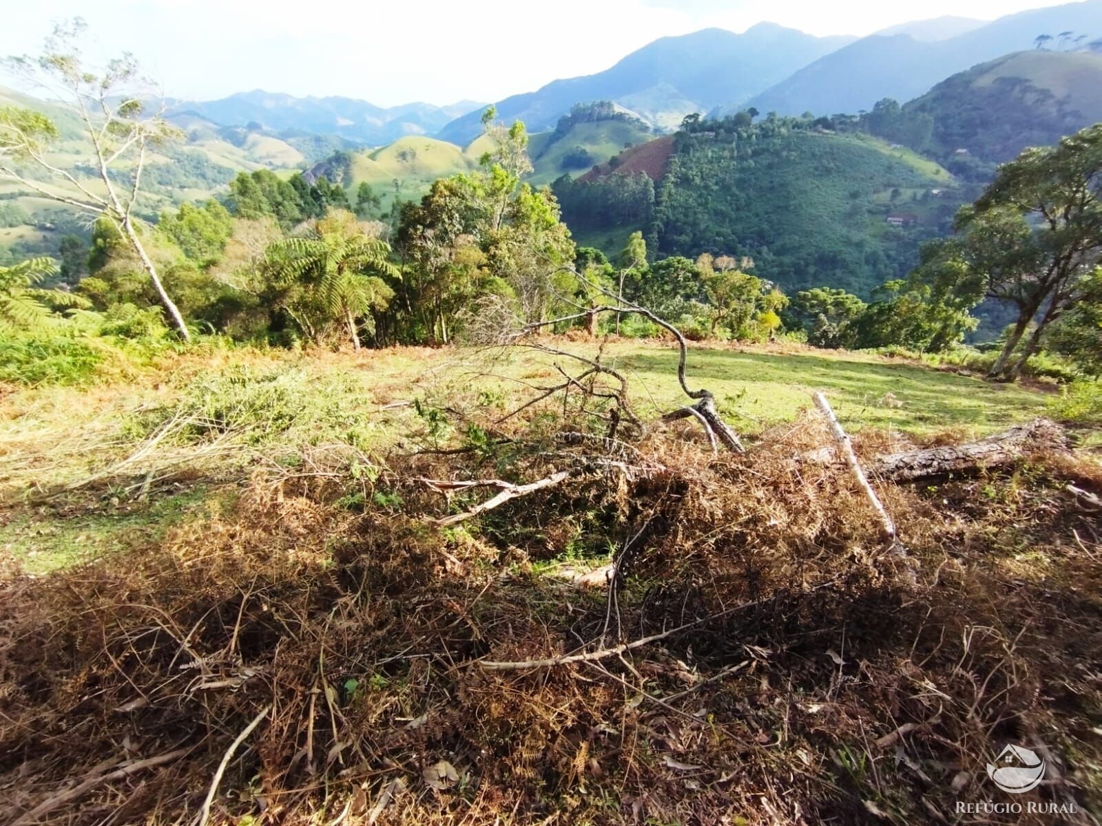 Fazenda à venda com 1 quarto, 40000m² - Foto 47