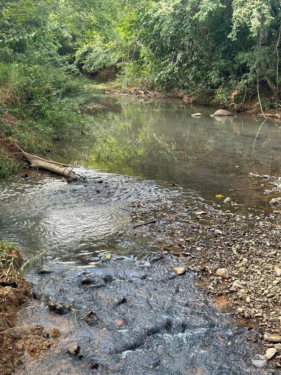 Fazenda à venda com 3 quartos, 670000m² - Foto 17