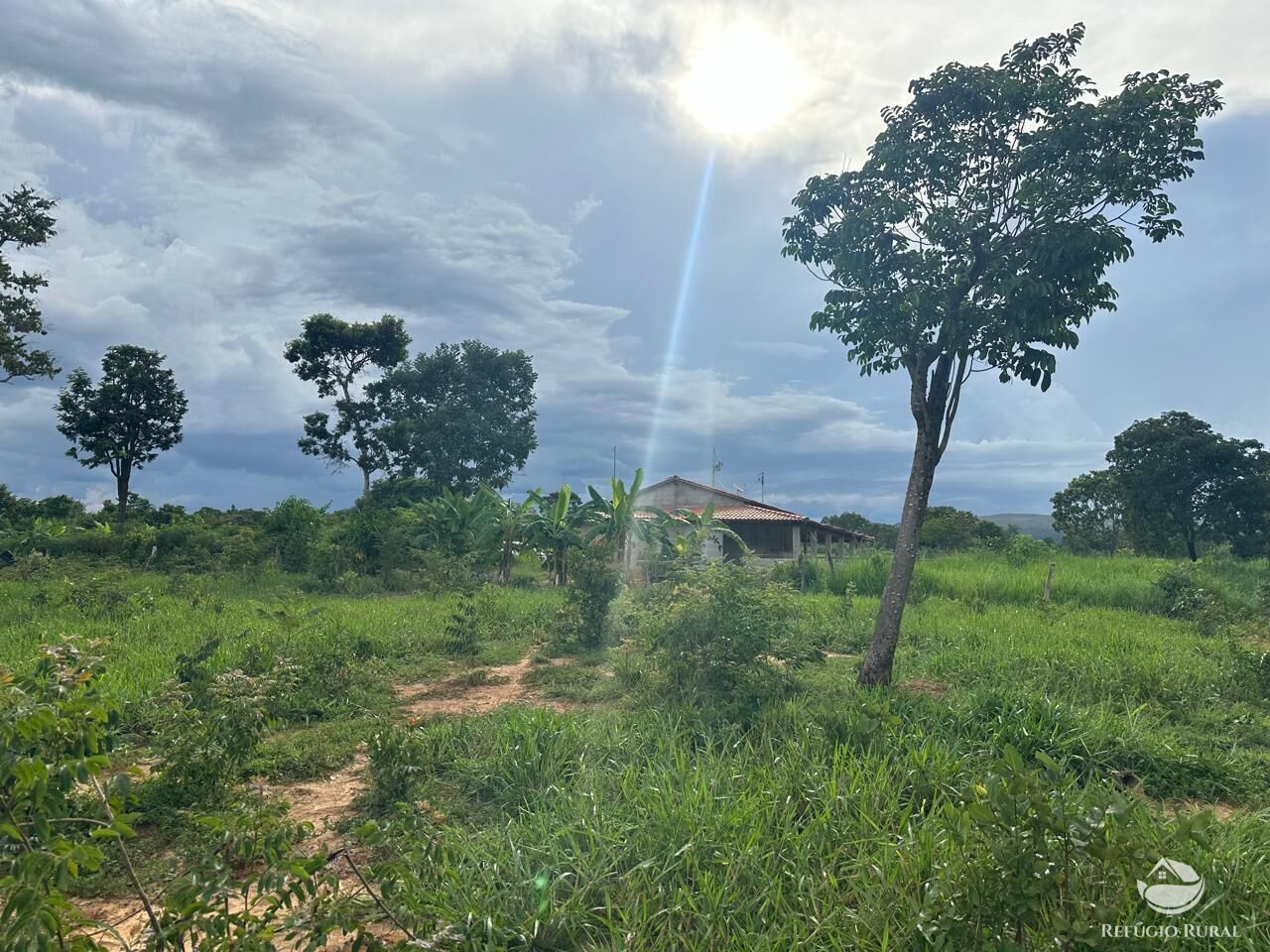 Fazenda à venda com 3 quartos, 670000m² - Foto 22