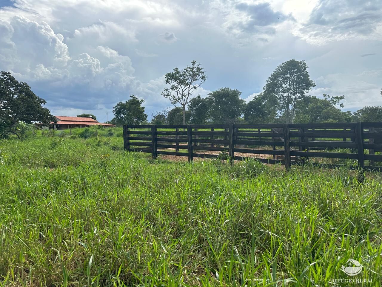 Fazenda à venda com 3 quartos, 670000m² - Foto 4