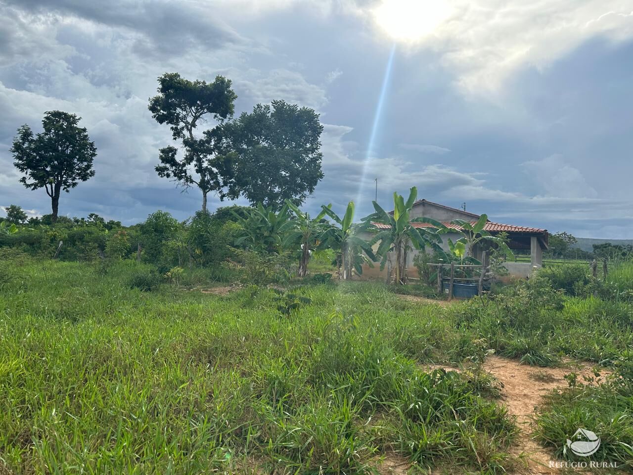 Fazenda à venda com 3 quartos, 670000m² - Foto 26