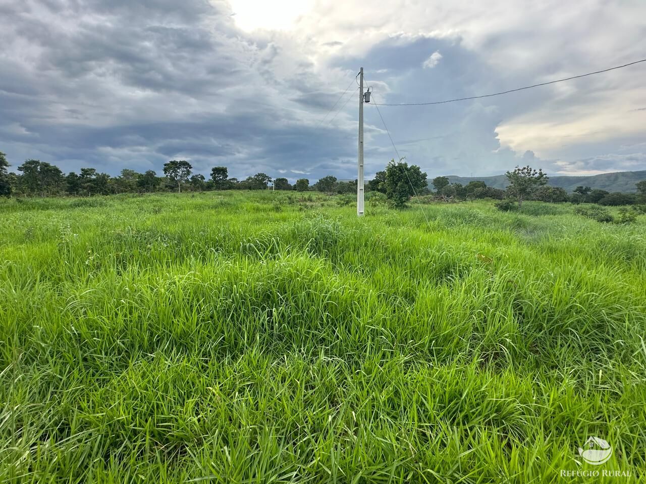 Fazenda à venda com 3 quartos, 670000m² - Foto 30