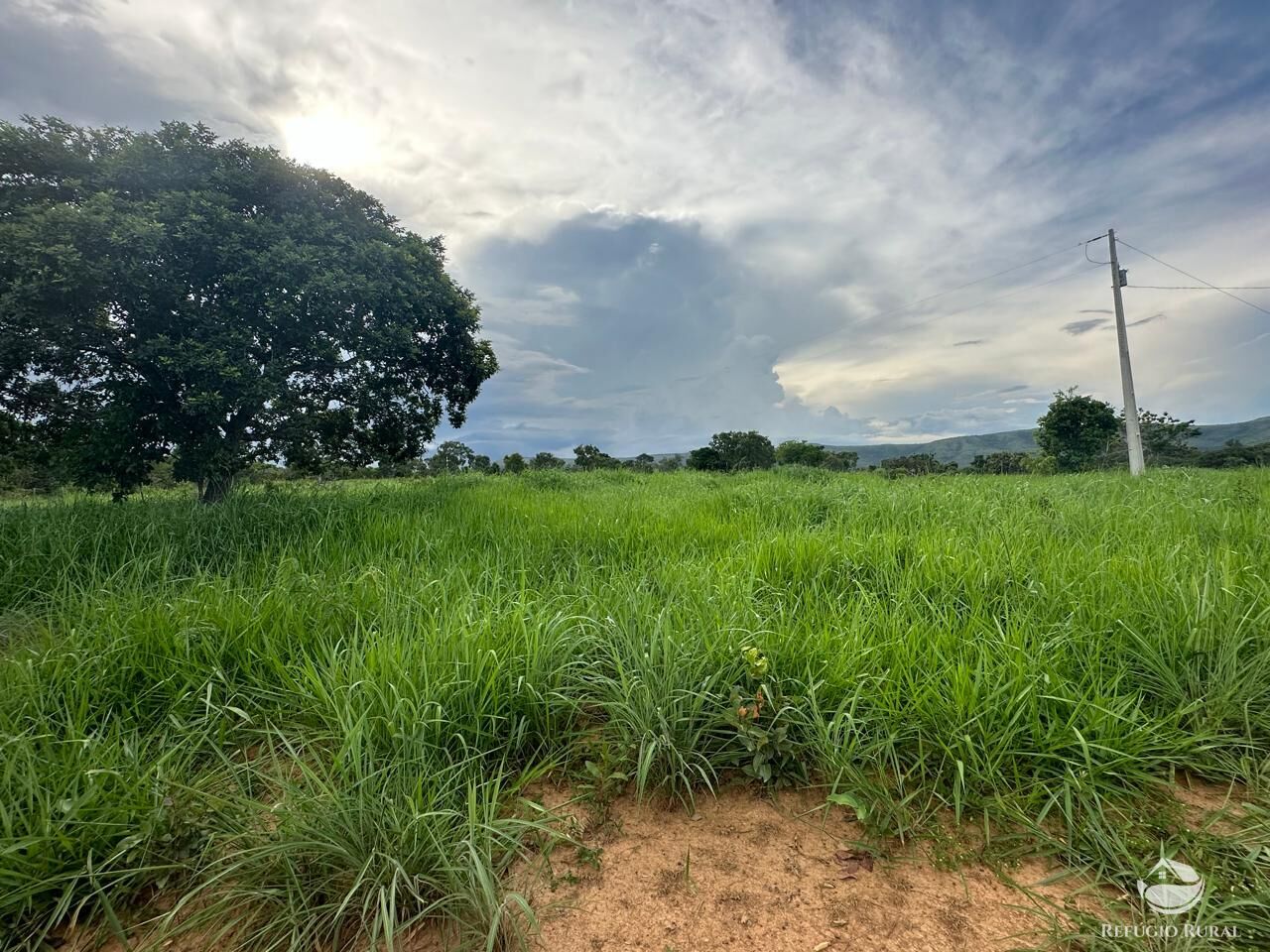 Fazenda à venda com 3 quartos, 670000m² - Foto 32