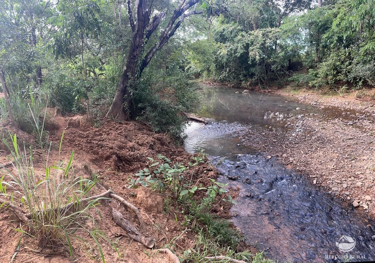 Fazenda à venda com 3 quartos, 670000m² - Foto 19