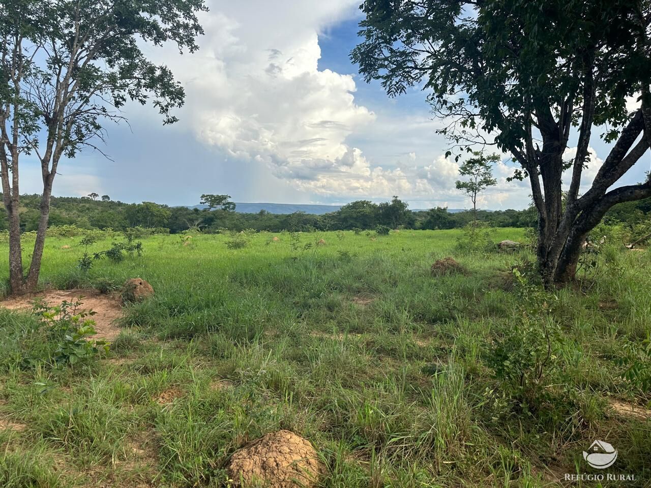 Fazenda à venda com 3 quartos, 670000m² - Foto 5