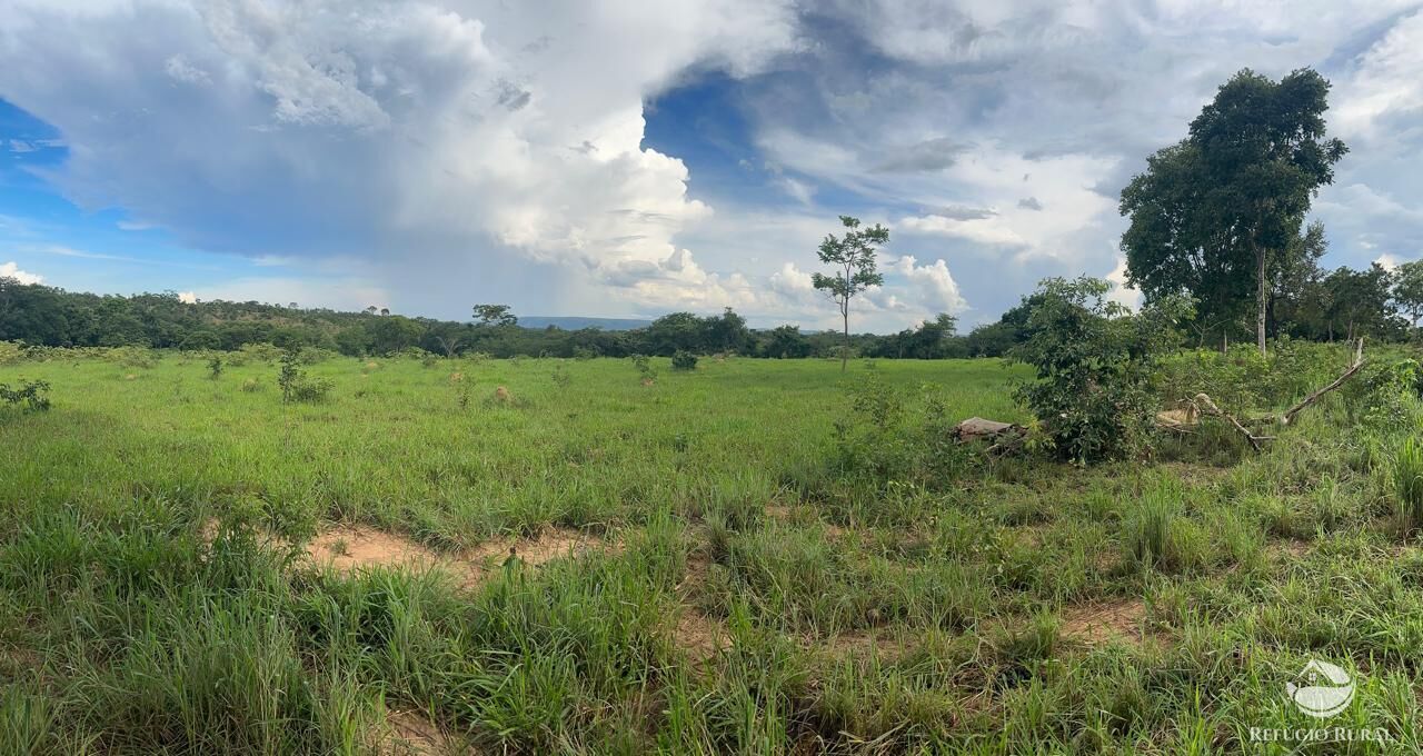 Fazenda à venda com 3 quartos, 670000m² - Foto 20