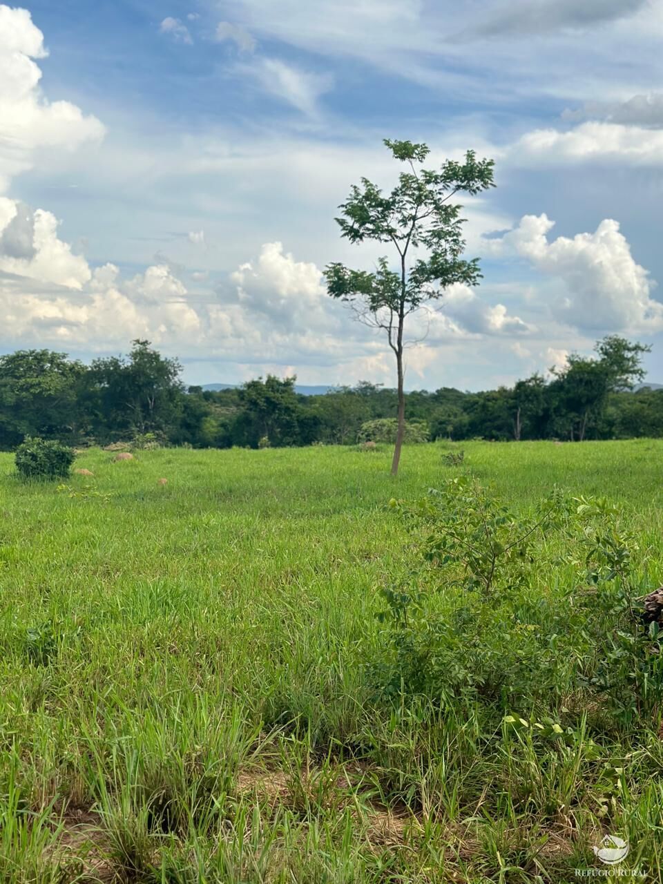 Fazenda à venda com 3 quartos, 670000m² - Foto 21