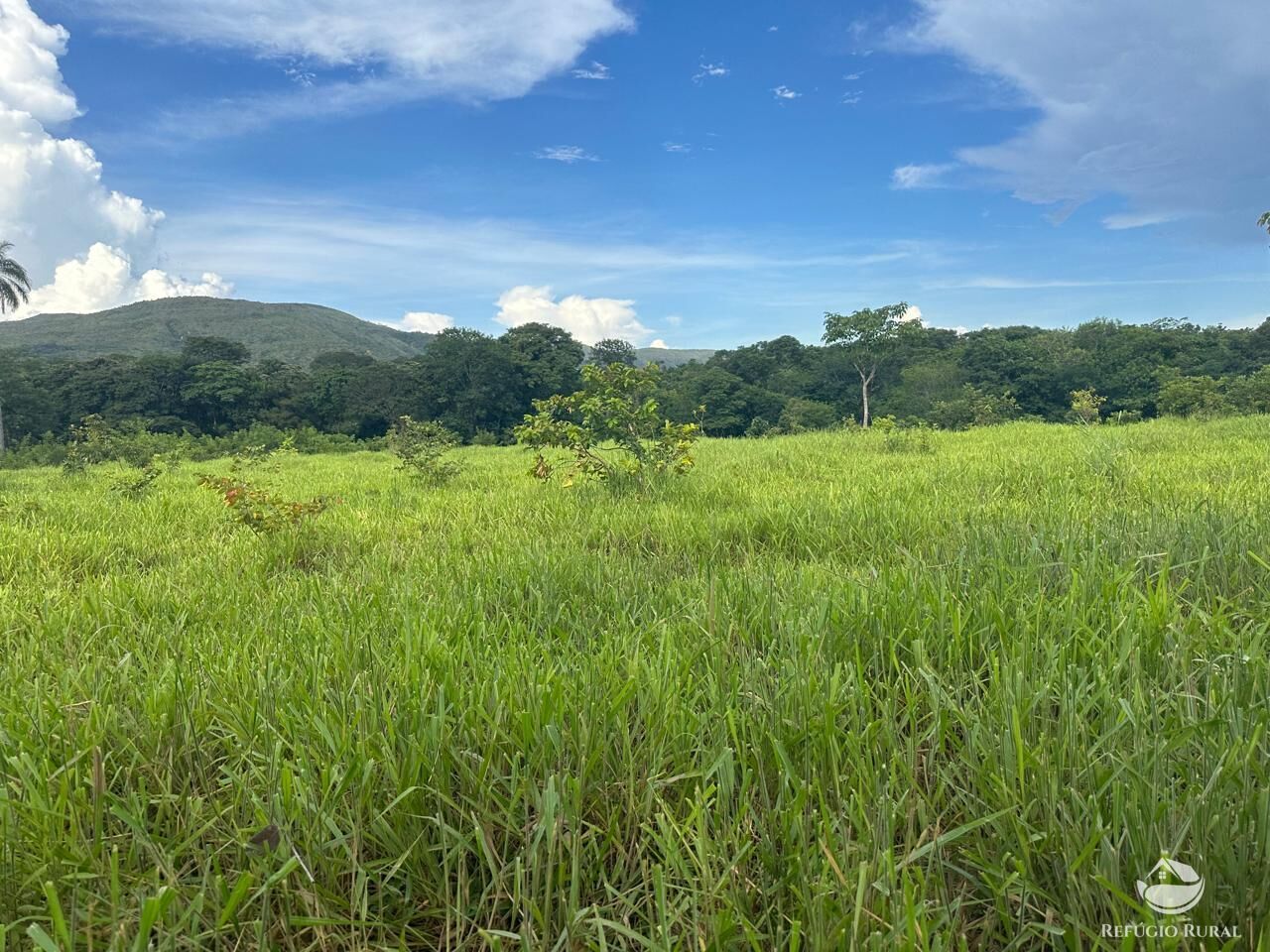 Fazenda à venda com 3 quartos, 670000m² - Foto 9