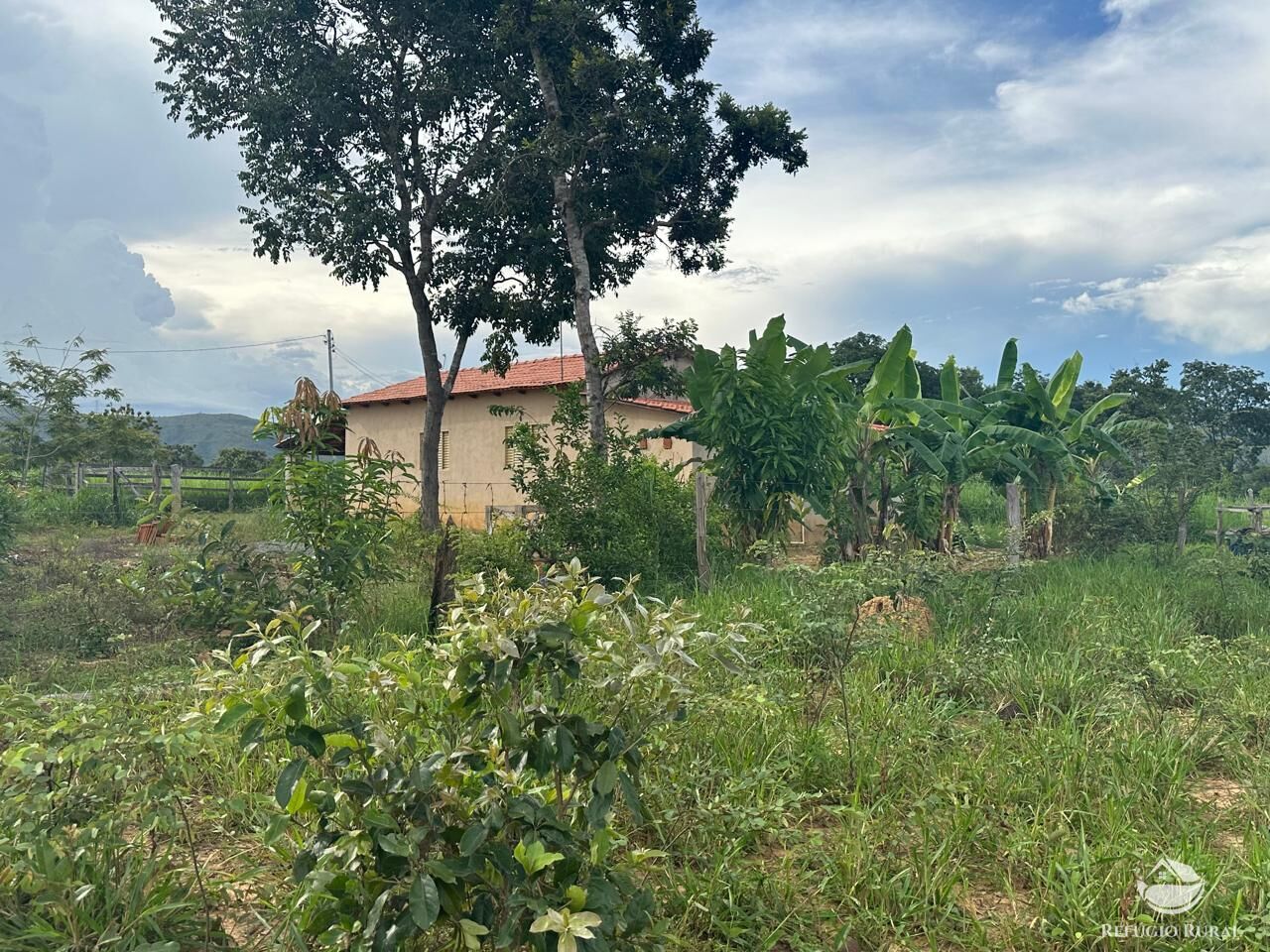 Fazenda à venda com 3 quartos, 670000m² - Foto 27