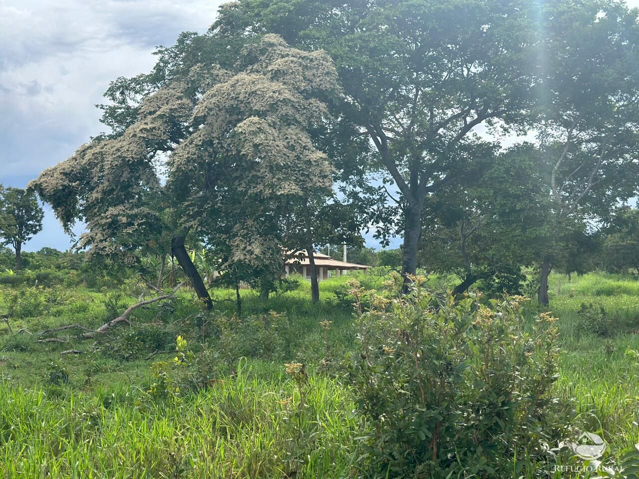 Fazenda à venda com 3 quartos, 670000m² - Foto 24