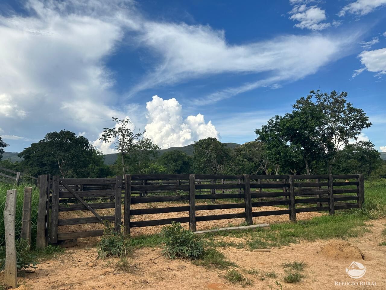 Fazenda à venda com 3 quartos, 670000m² - Foto 8