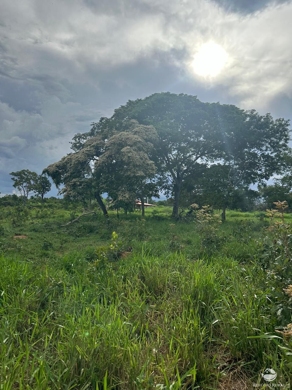 Fazenda à venda com 3 quartos, 670000m² - Foto 23