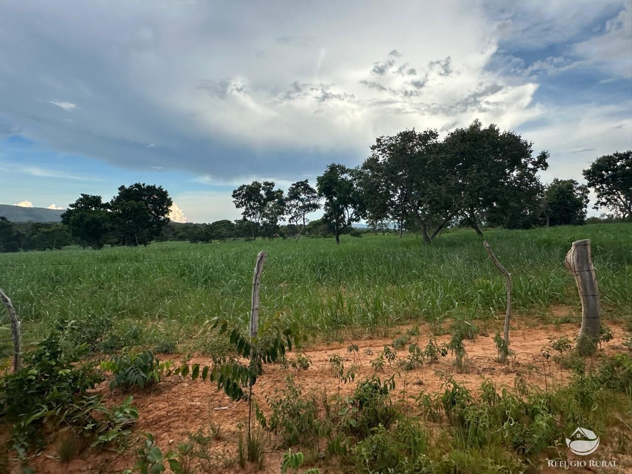 Fazenda à venda com 3 quartos, 670000m² - Foto 31