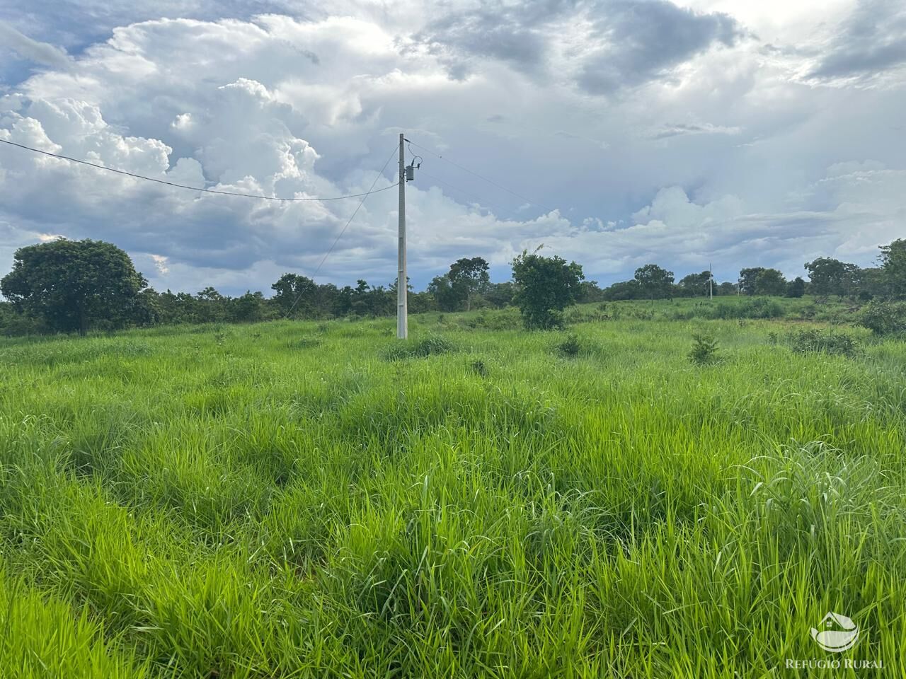 Fazenda à venda com 3 quartos, 670000m² - Foto 13