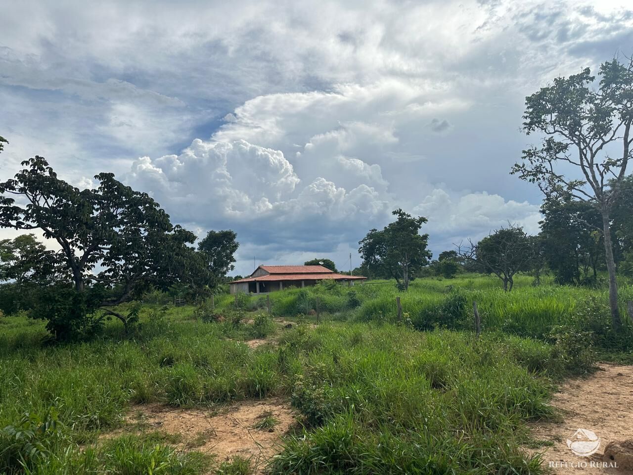 Fazenda à venda com 3 quartos, 670000m² - Foto 1