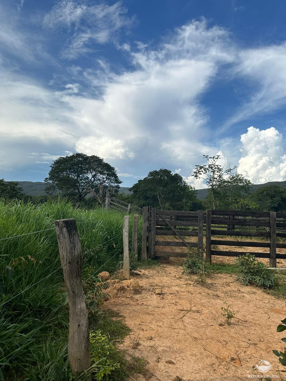 Fazenda à venda com 3 quartos, 670000m² - Foto 12