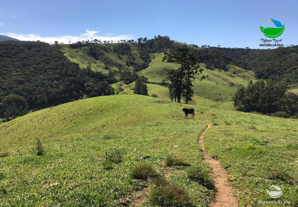 Fazenda à venda com 1 quarto, 169400m² - Foto 5