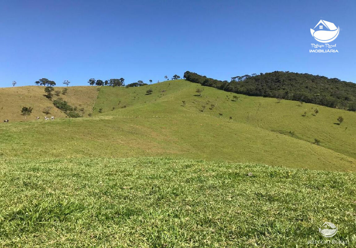 Fazenda à venda com 1 quarto, 169400m² - Foto 3